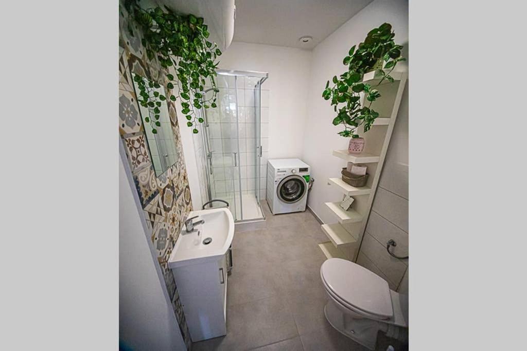 Apartament Rynek Leśna Εξωτερικό φωτογραφία