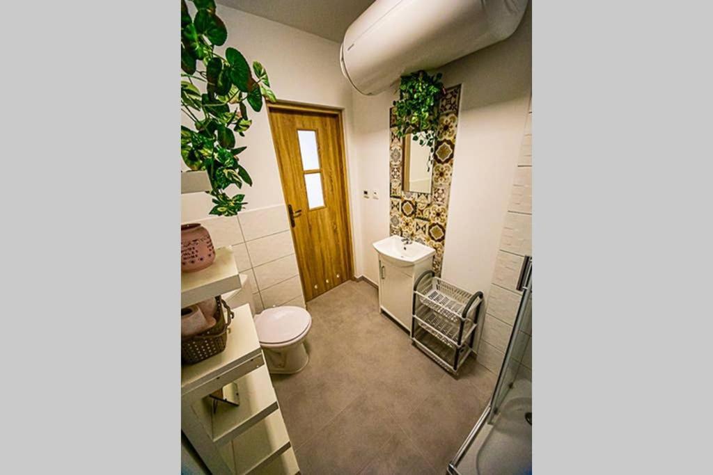 Apartament Rynek Leśna Εξωτερικό φωτογραφία